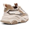 Baskets Steve Madden Possession Femme Toile Lacets Taupe